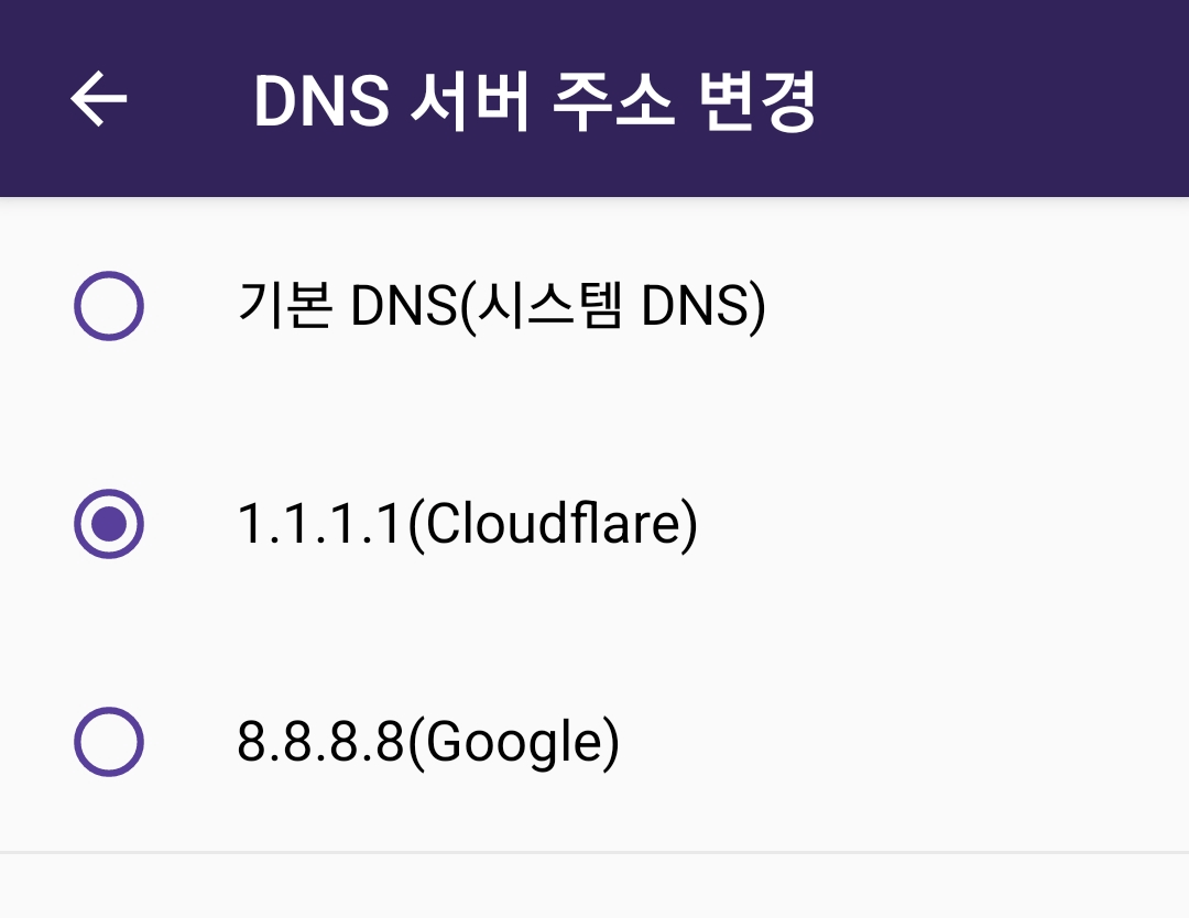 DNS 설정