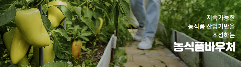 농식품바우처 자격조건과 지원금