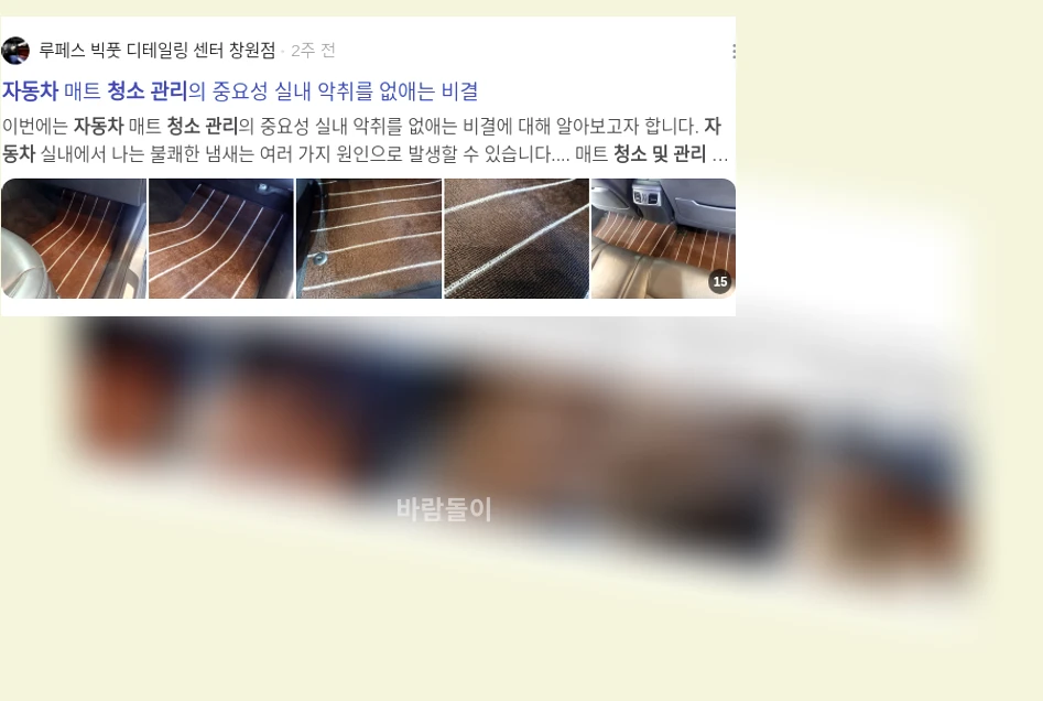 자동차 청소 및 관리_3_subsection
