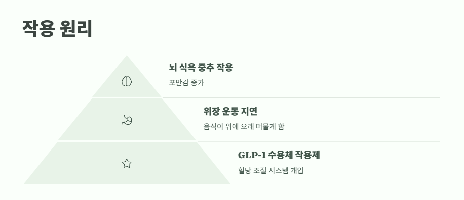 위고비 효과 완벽 정리 2