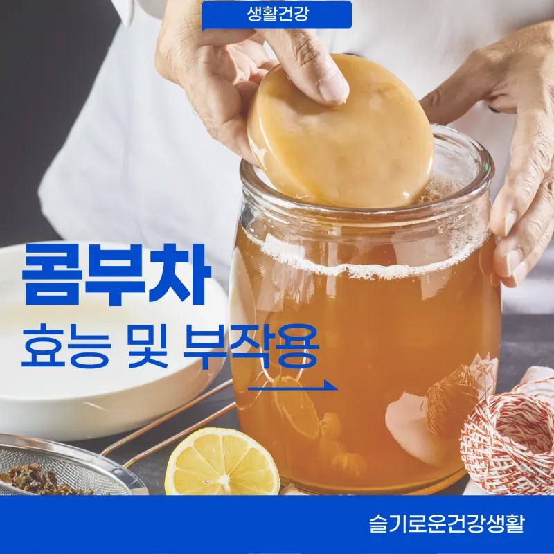 콤부차 효능_1
