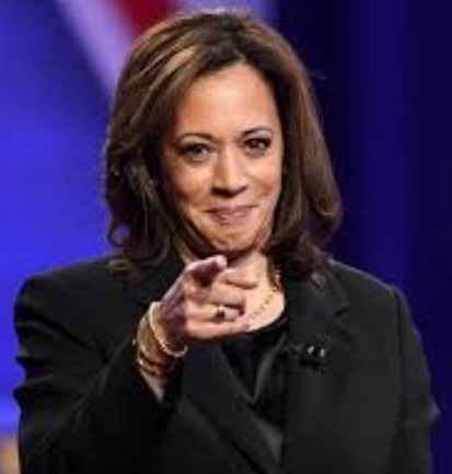 밴스 부통령 후보 해리스 자식 공격 역풍 상황 | 밴스의원 프로필 나이 고향 학력 평가