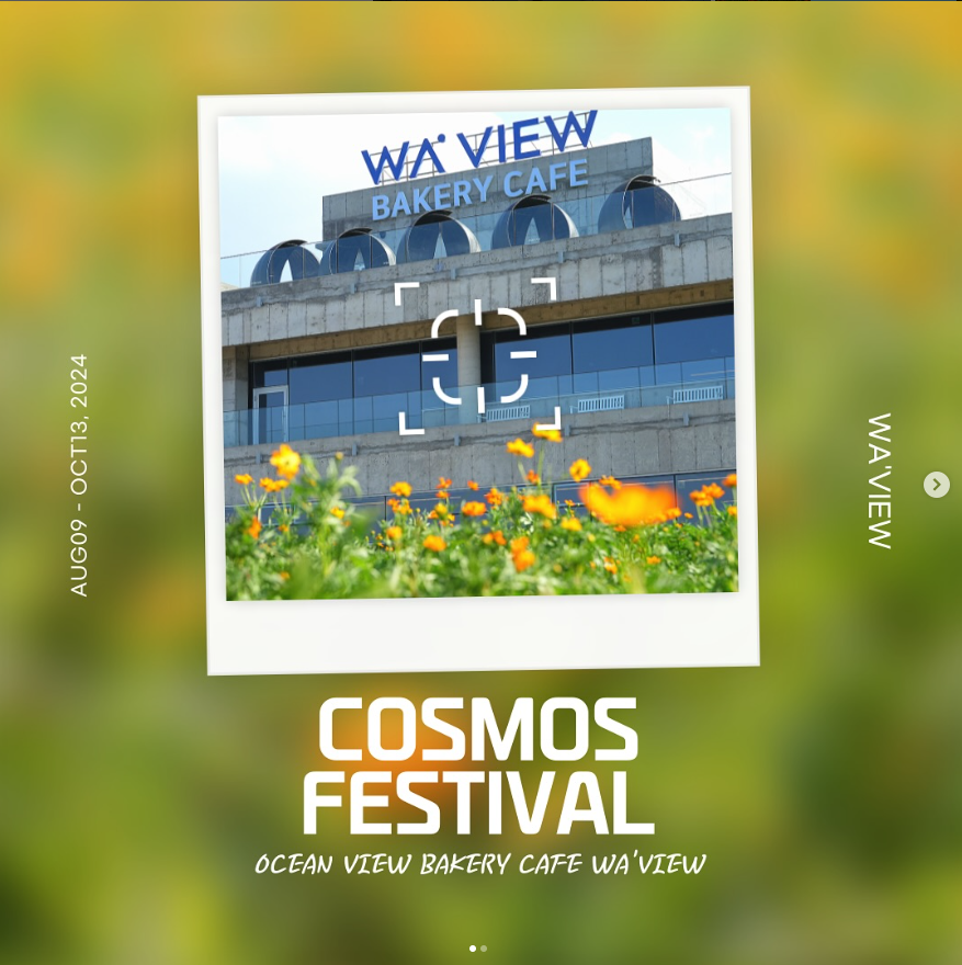 ์จ์ด๋ทฐ ์ฝ์ค๋ชจ์ค ์ถ์ 