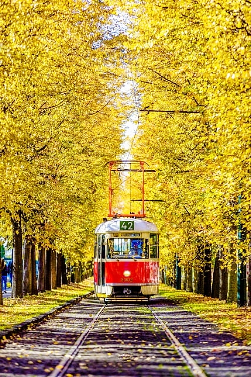 나비고 교통카드