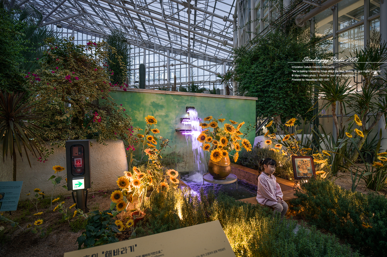 #세종 #세종수목원 #야간개장 #고흐