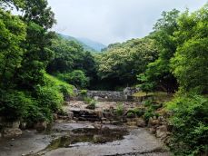 용인자연휴양림