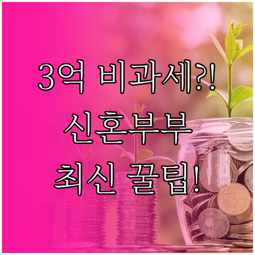 2024년 증여세 개정 신혼 부부 최..
