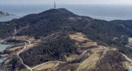 흑산도 홍어 가격