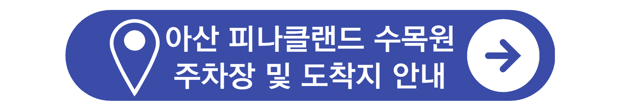 수선화축제, 아산 피나클랜드 수목원 튤립 축제