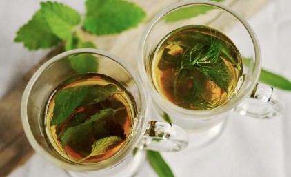 체중 관리 방법! 식사 전 &lsquo;냄새 맡기&rsquo; 루틴으로 과식 방지&amp;#44; 체중 조절까지