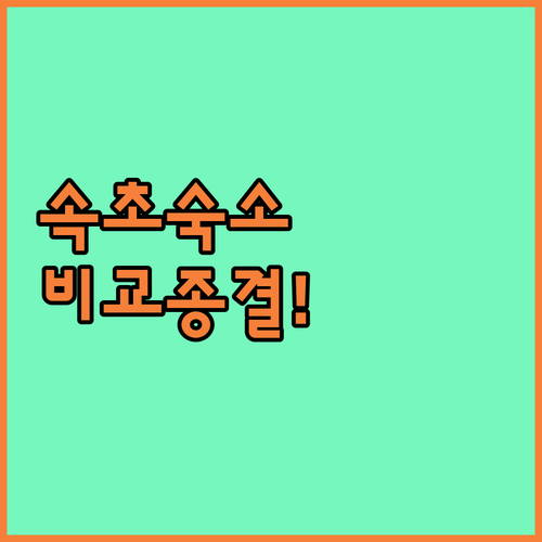 속초 가볼만한곳 근처 인기 숙소 4곳..