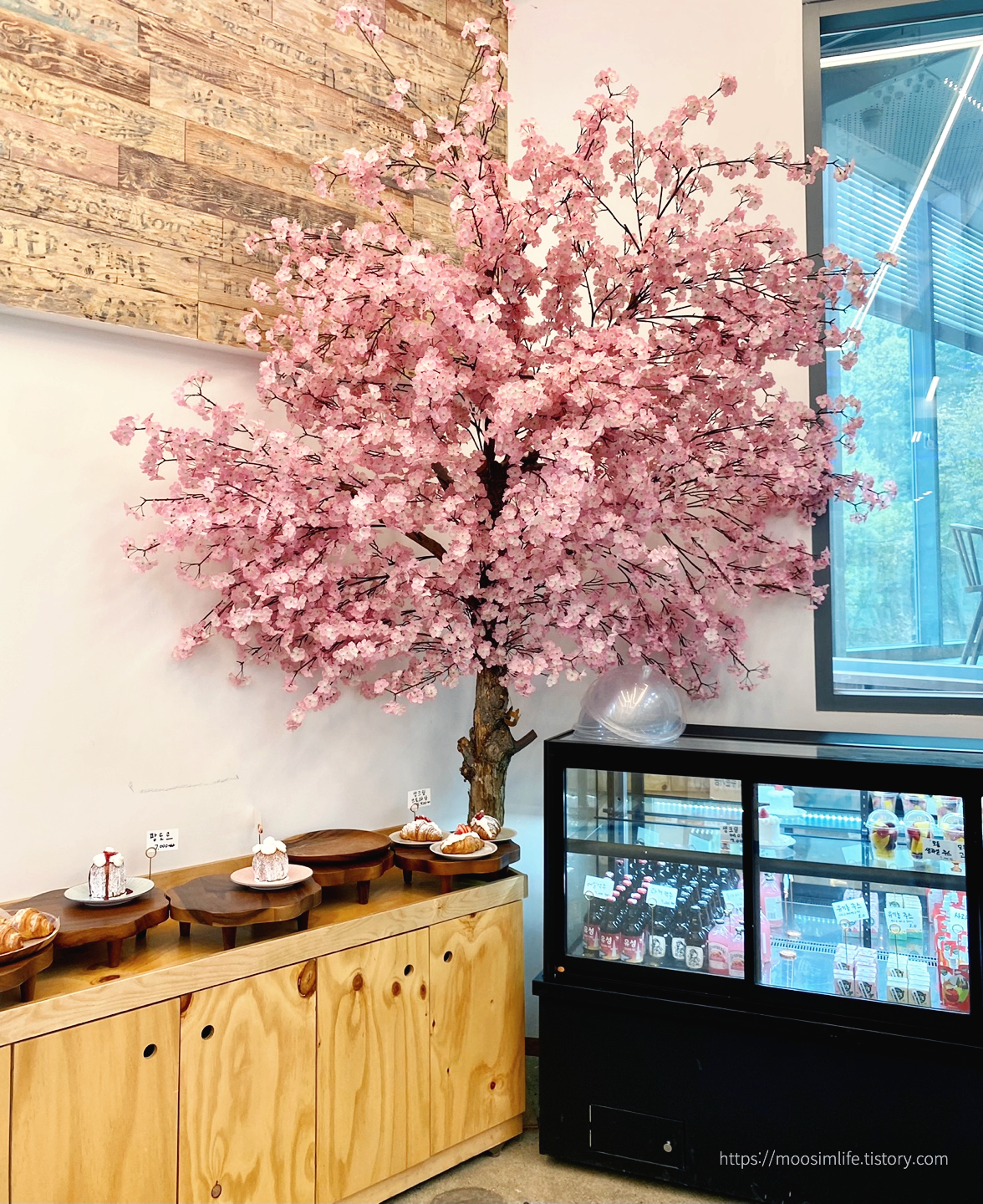 대전유성갑동-수피아 대형카페-십원빵