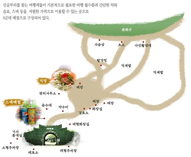 제주도-가을-여행-억새-명소-산굼부리-명소-안내