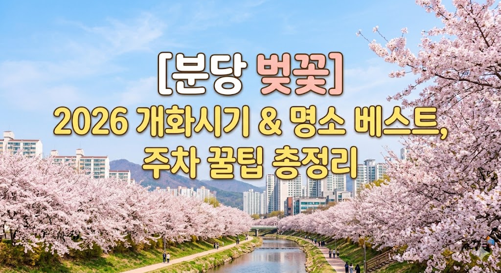 분당 벚꽃 명소