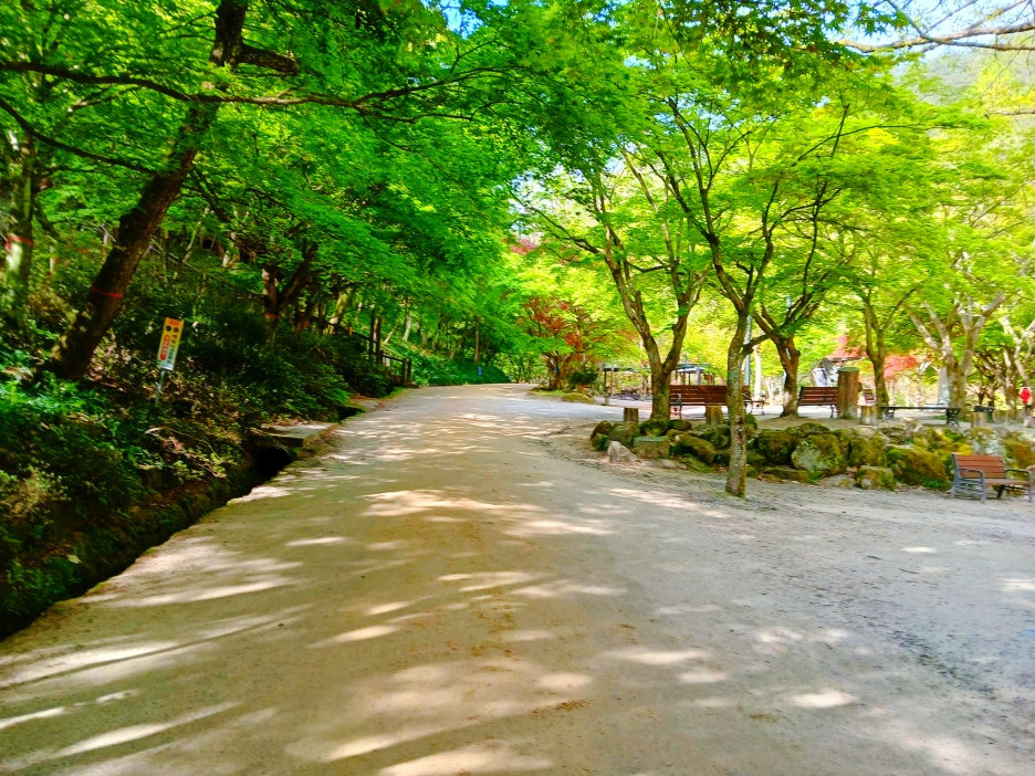 강천산군립공원