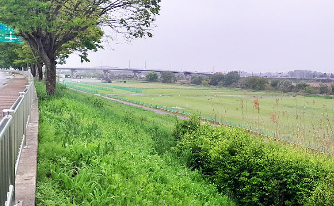 충청남도 논산시파크골프장 소개