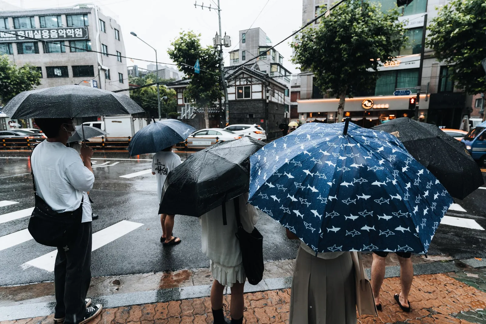 우산을 든 사람들이 비 오는 거리를 건너기 위해 기다리고 있습니다.