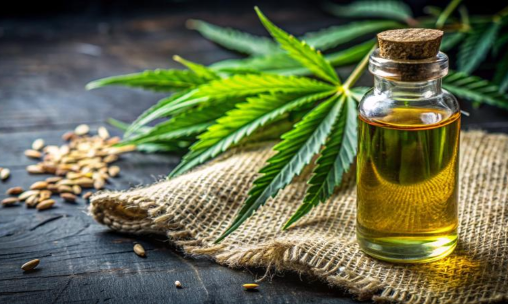 뇌혈관 건강 지키는 착한 기름: 혈관 청소 도우미 대마종자유(햄프씨드오일)