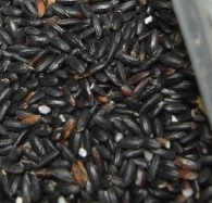 흑미 효능 놀라운 10가지 부작용 칼로리 고르는법