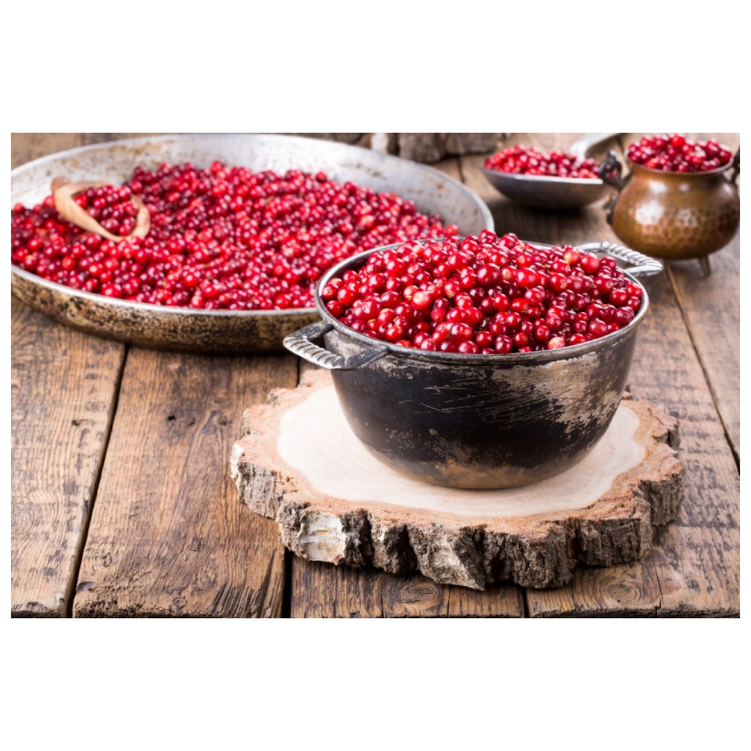 오미자와 관련된 사진입니다.