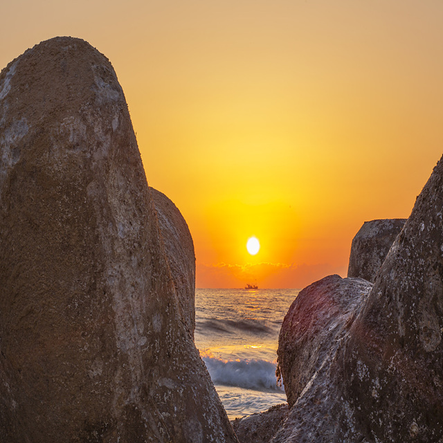 2026 말띠 신년운세 무료보기