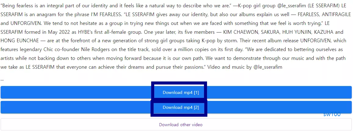 광고 없는 iGram 사이트 사용법 3