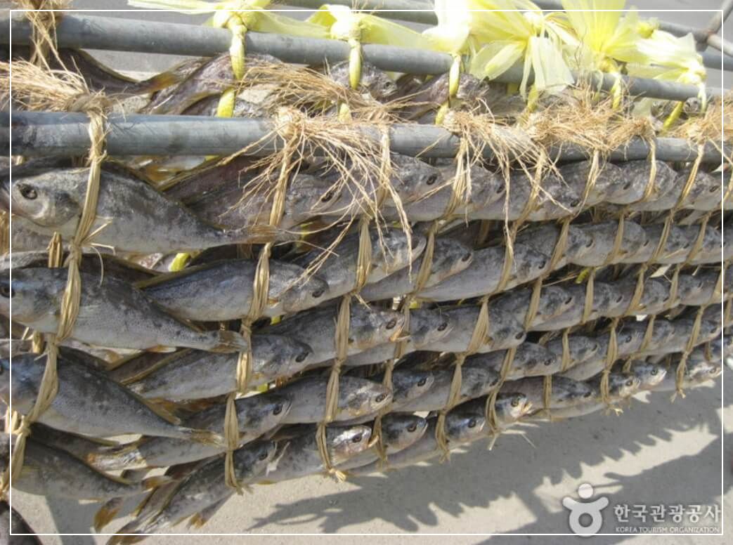 영광 가볼만한곳 베스트10 법성포 굴비거리