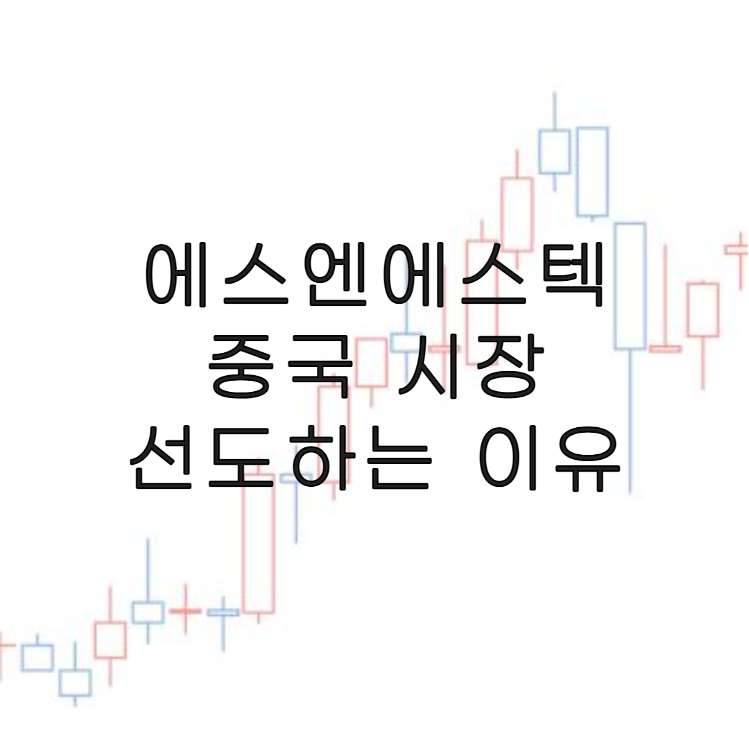 주식-에스엔에스텍-리포트