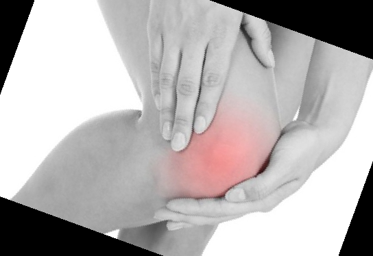 콘쥬란 주사 가격