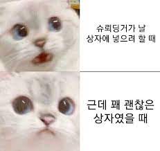 슈뢰딩거의 고양이: 양자역학의 패러독스