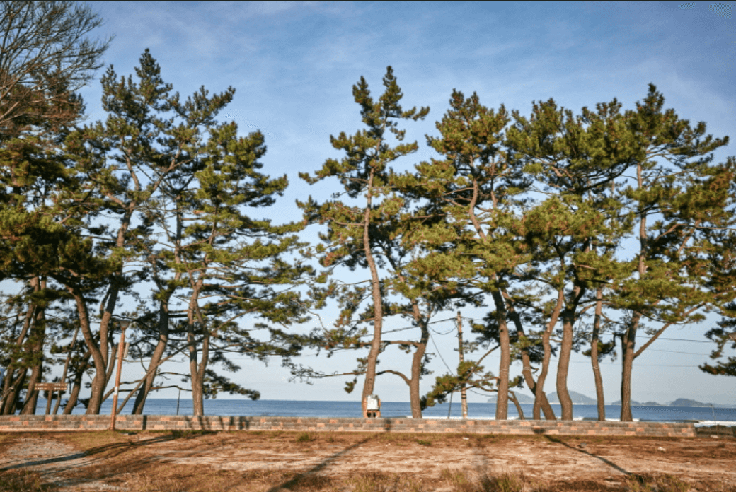 변산 해수욕장 (부안군)