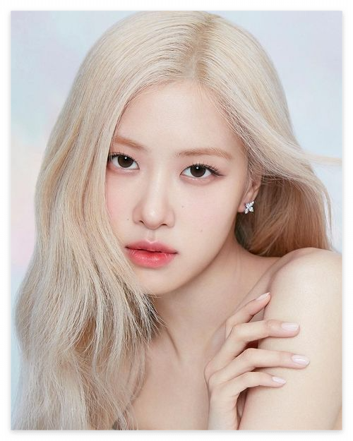 로제꿈해몽