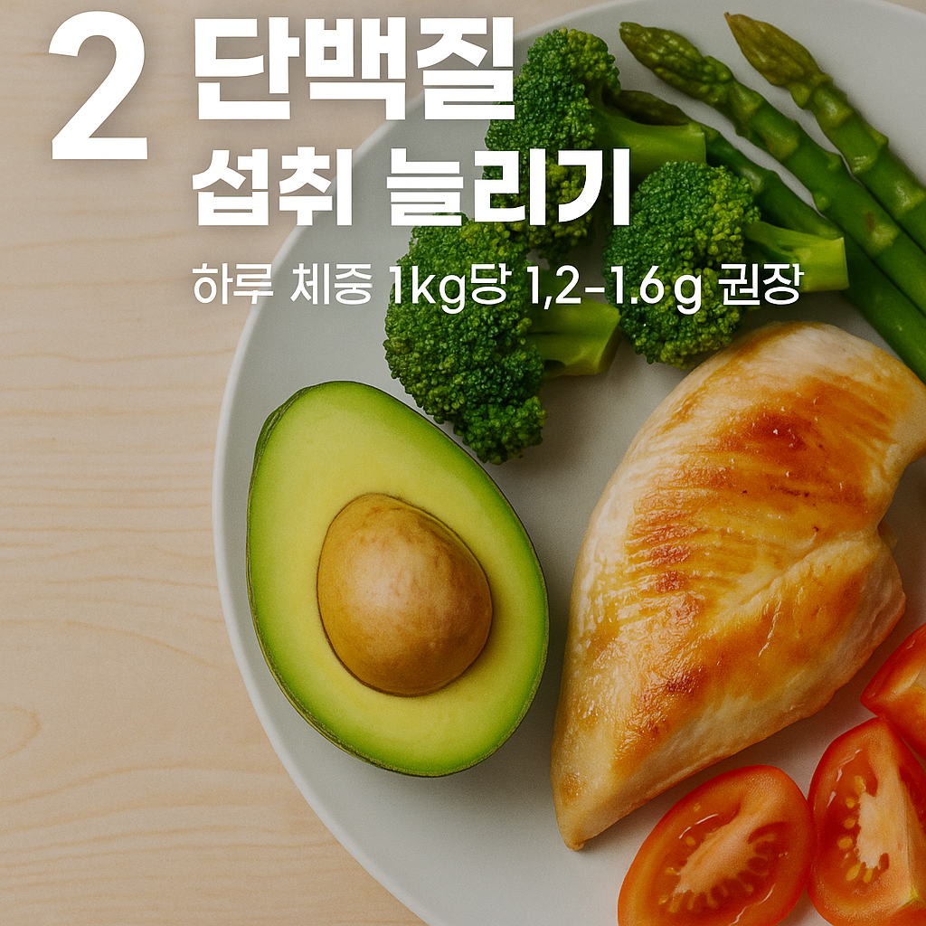 단백질 섭취 늘리기