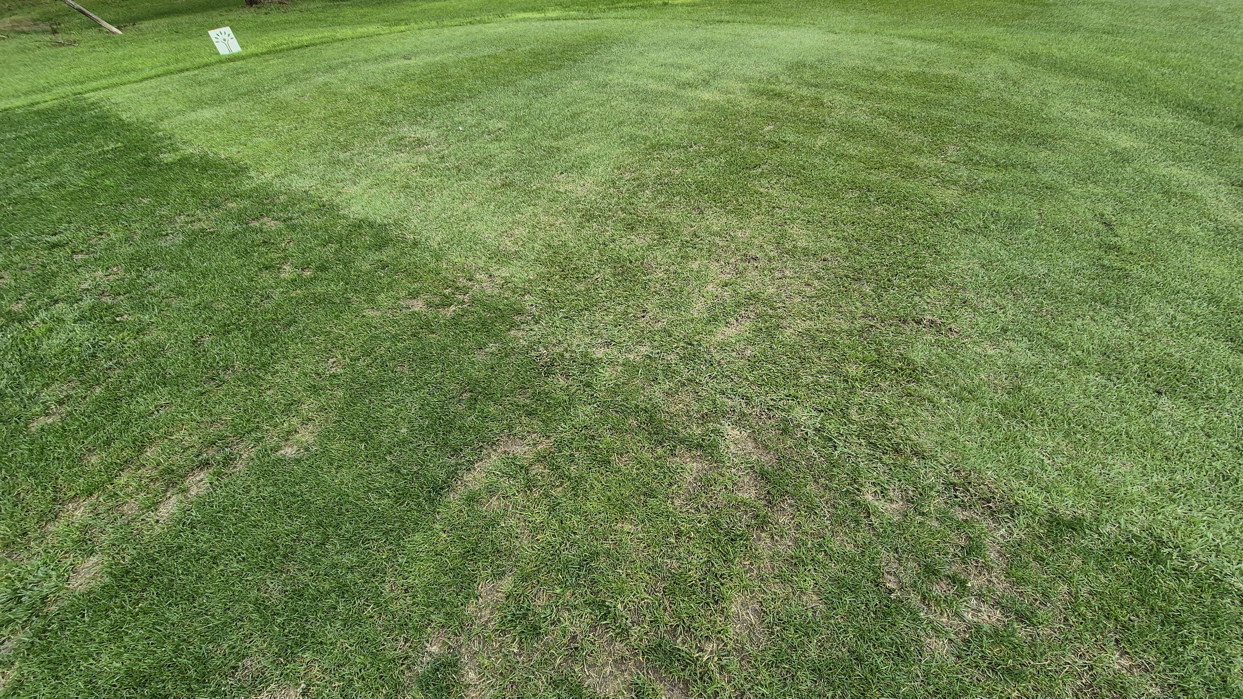 파인스톤cc 티잉구역 상태