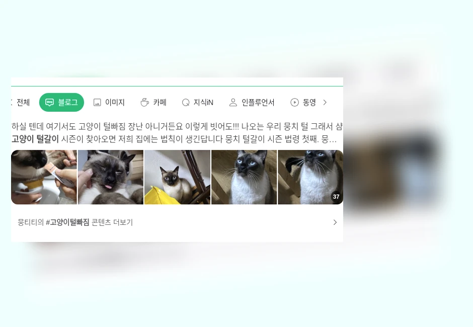 고양이 털갈이_1_subsection