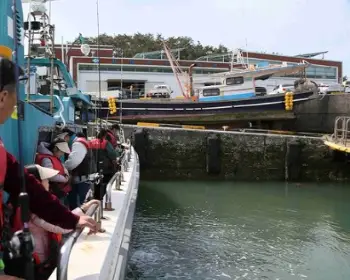 서천 동백꽃 주꾸미 축제_13