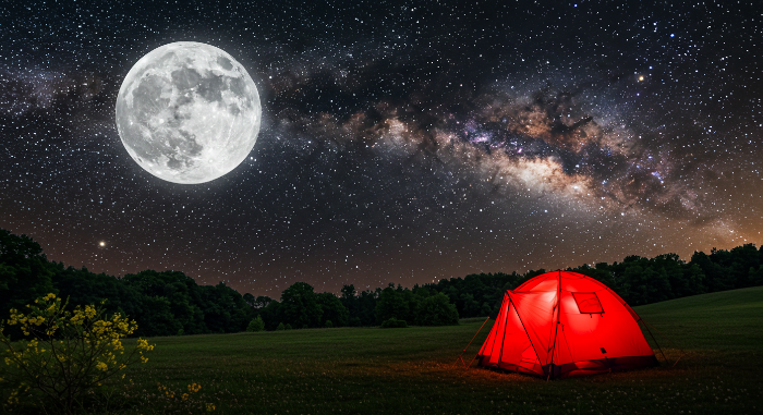 심리학이 알려주는 ‘회복 탄력성’ 키우는 5가지 방법