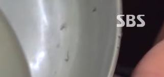 생활의 달인 황해도식 메밀냉면