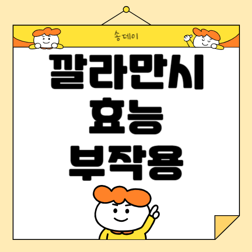 깔라만시의 효능 및 부작용 총정리