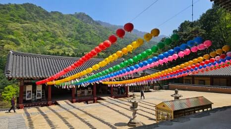 원주 구룡사 : 아홉 용의 전설과 황장목 숲길이 주는 휴식