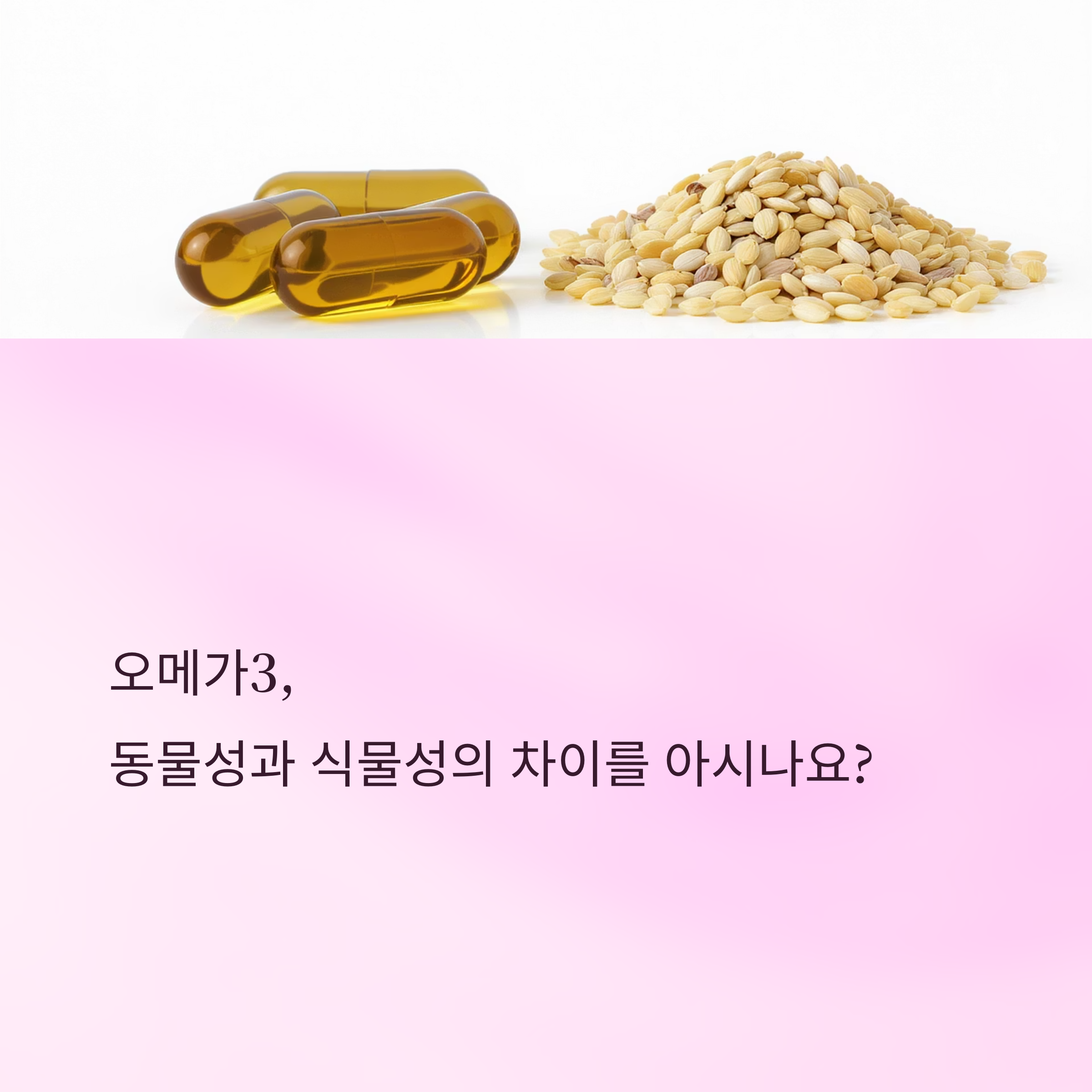 오메가3, 동물성과 식물성의 진짜 차이점은?