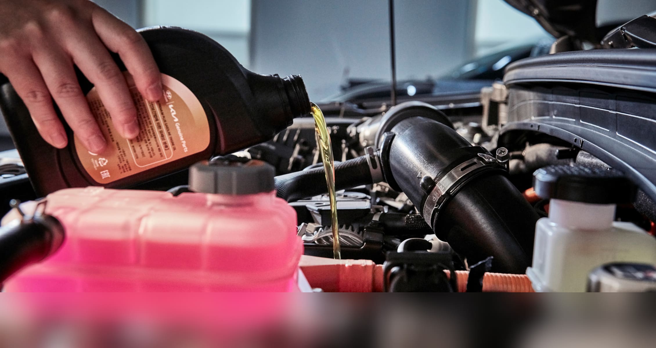 기아 인증중고차