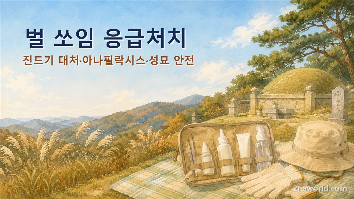성묘 벌초 벌 쏘임과 진드기 대비 안전 파우치와 준비물