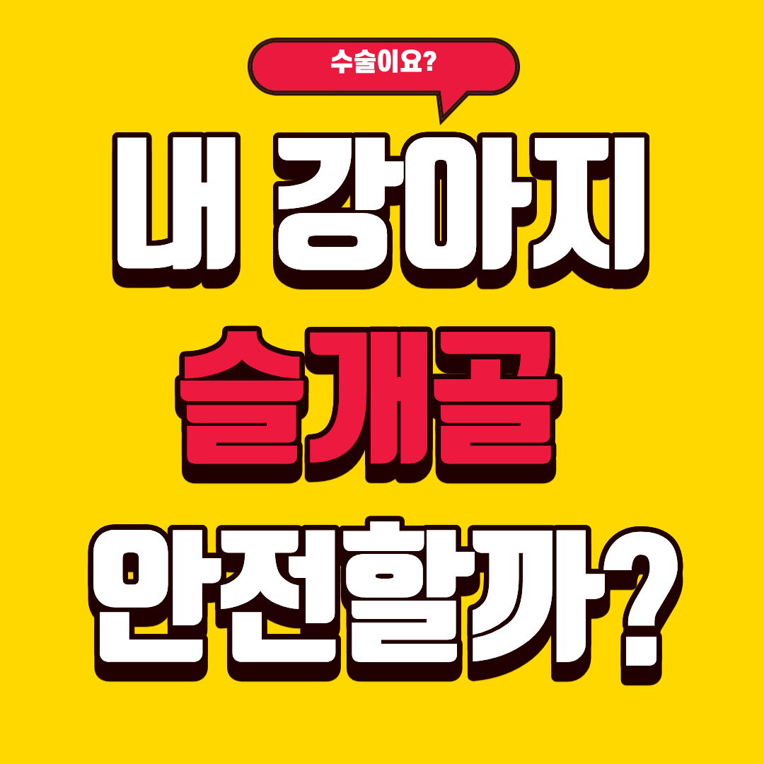 강아지 슬개골 탈구 수술비용을 똑똑하게 알아보고 가입