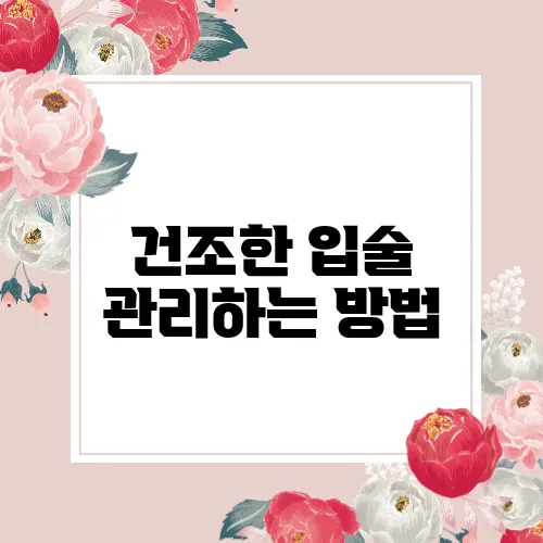 건조한 입술 관리하는 방법