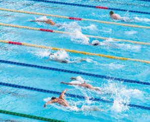 통풍 치료법 진단 기준 합병증