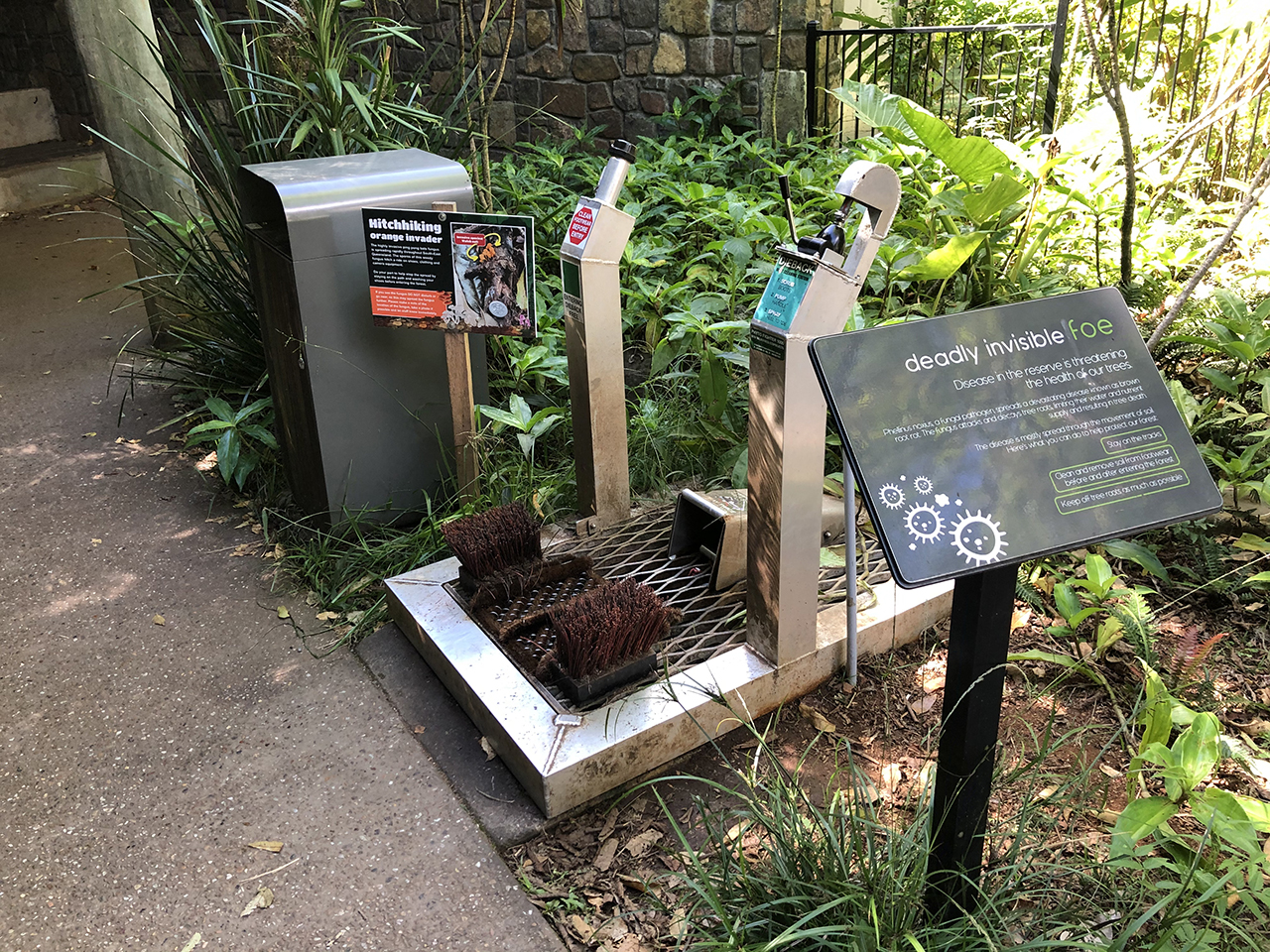 deadly invisible foe