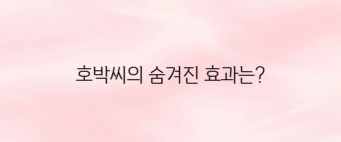 호박씨 효능 총정리│전립선 건강·피부·면역력에 좋은 이유