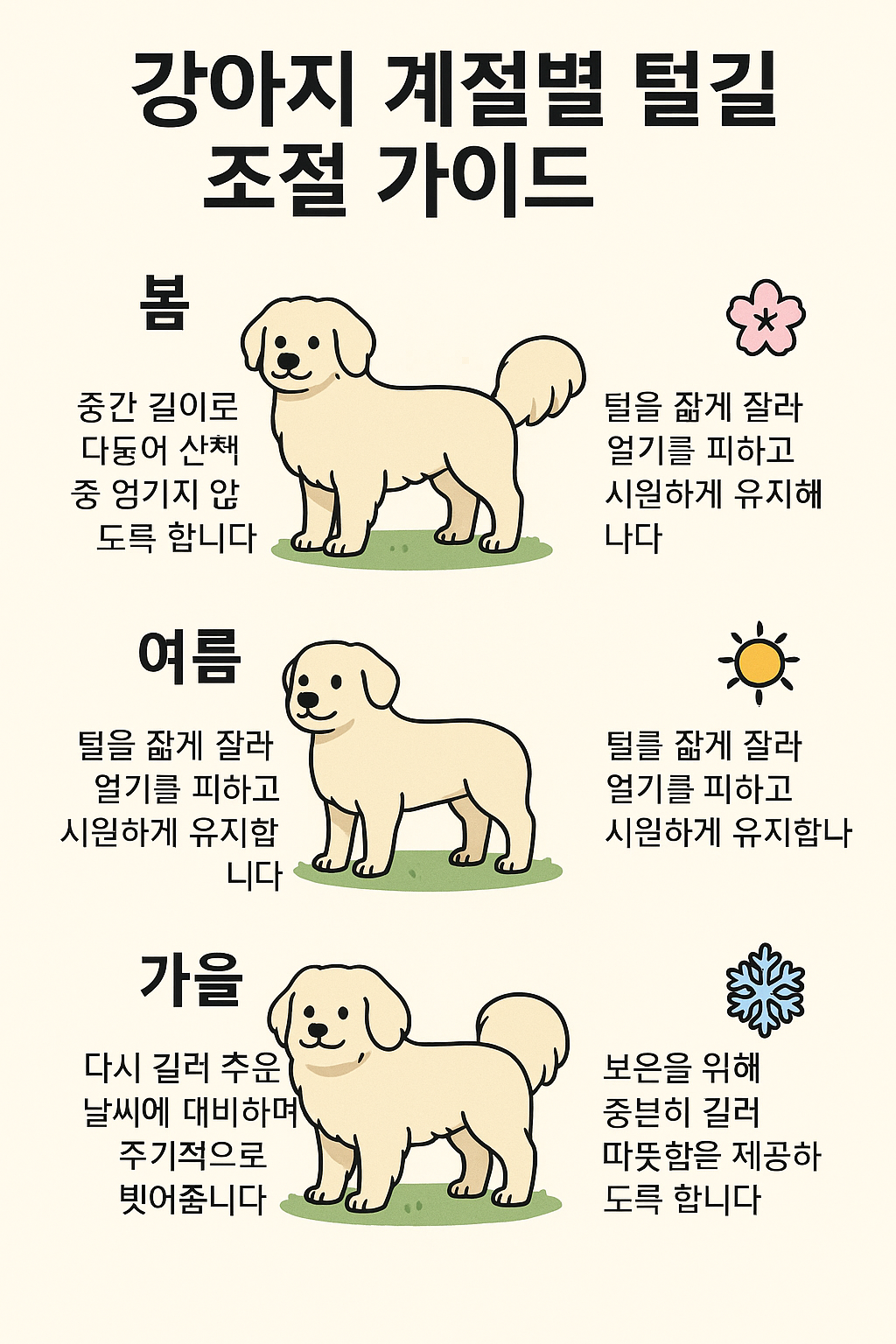 강아지 계절별 털 길이 조절 가이드 사진