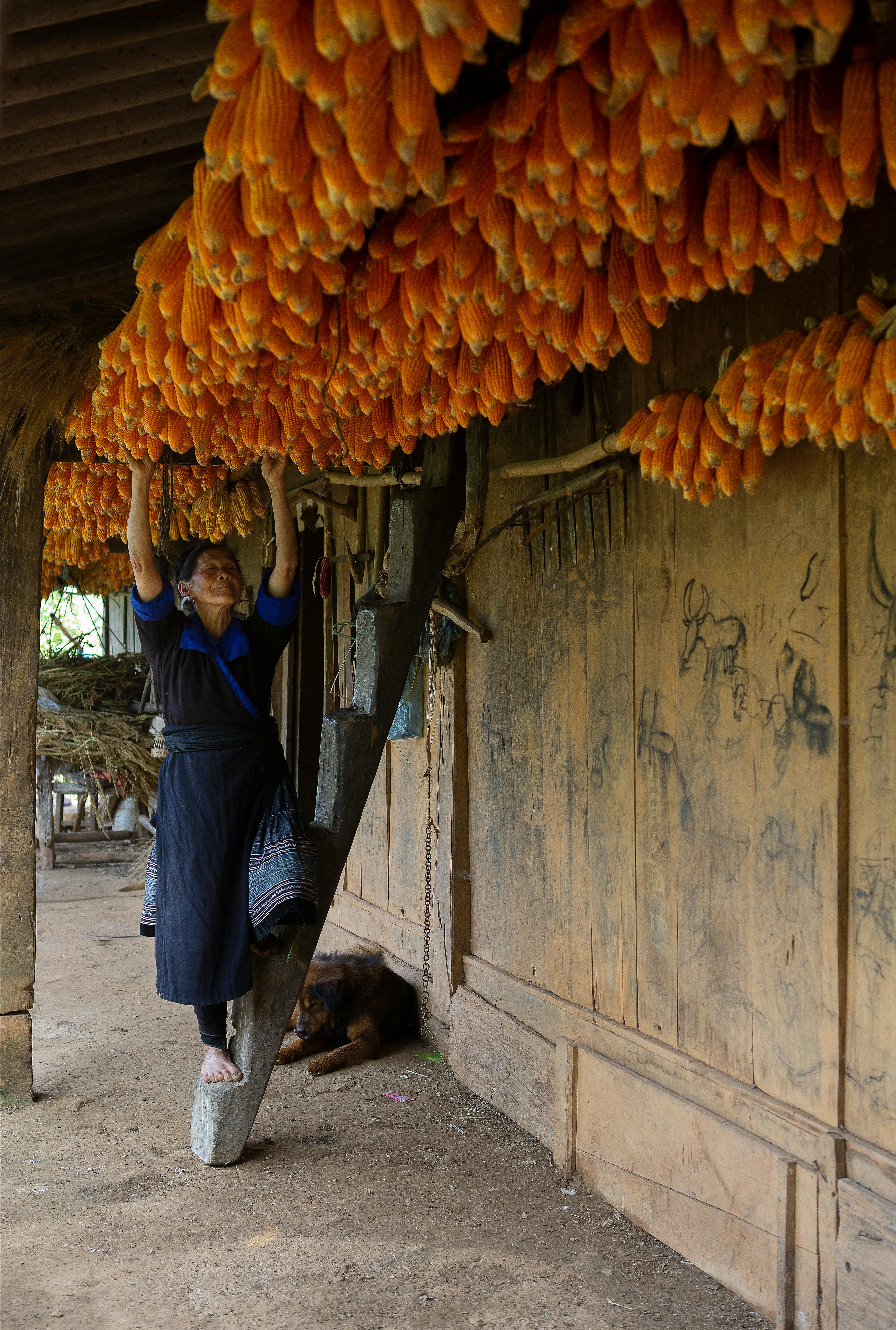 생계급여 신청&amp;#44; 조건부터 온라인 접수까지 총정리